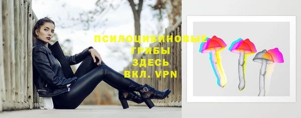 apvp Армянск