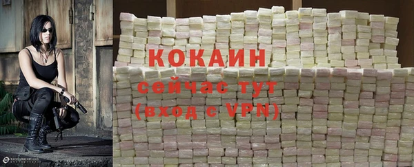 apvp Армянск